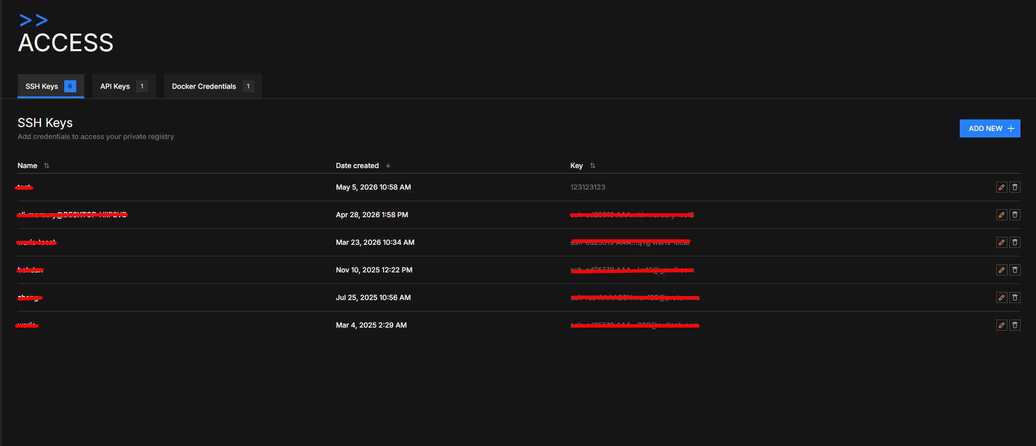 SSH Keys tab in Access page