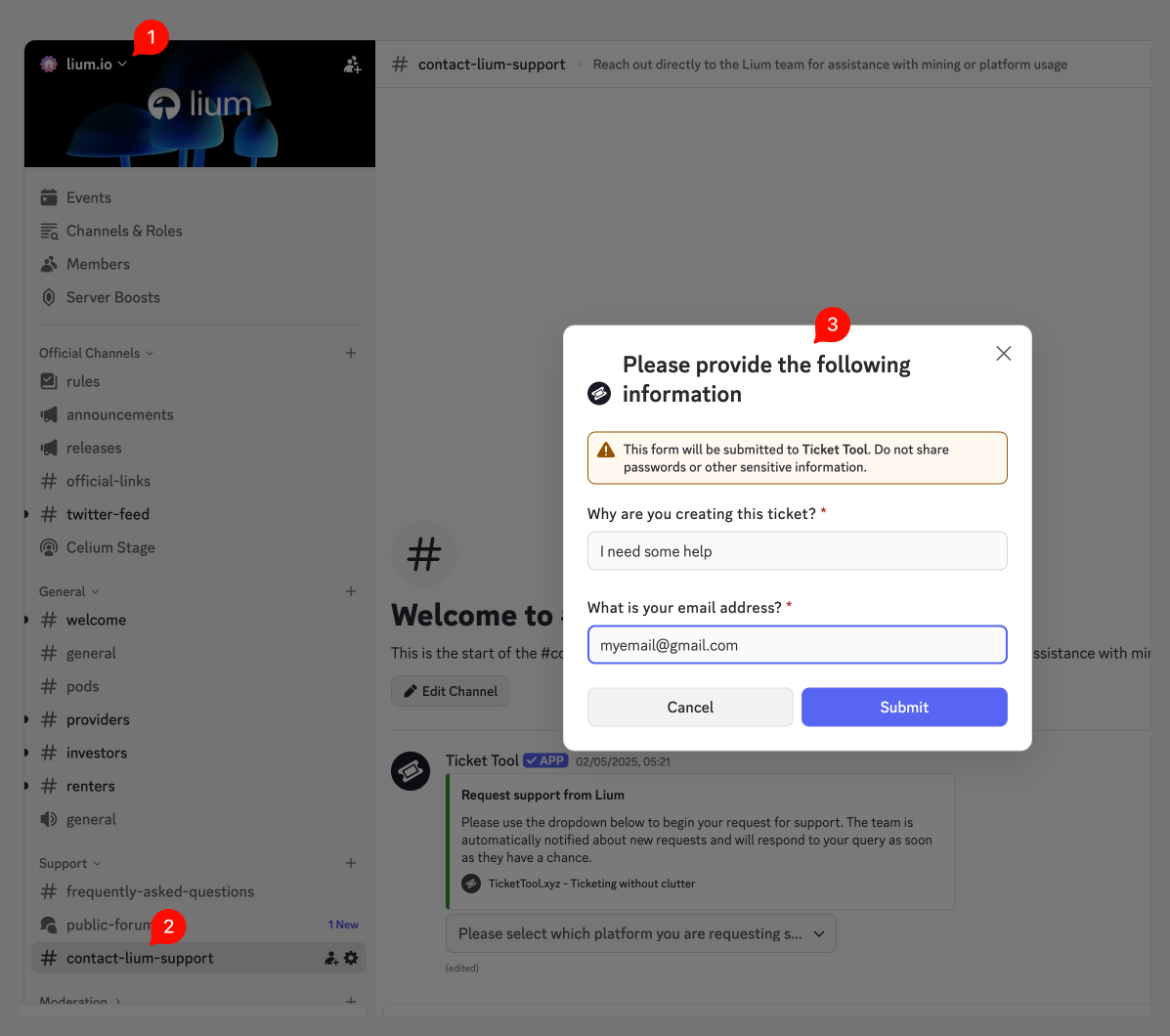 Official Lium Discord support flow
